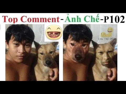 Top Comment 😂 Ảnh Chế (P 102) Funny Photos, Photoshop Troll, Funny Picture, Funniest Photoshop Fail