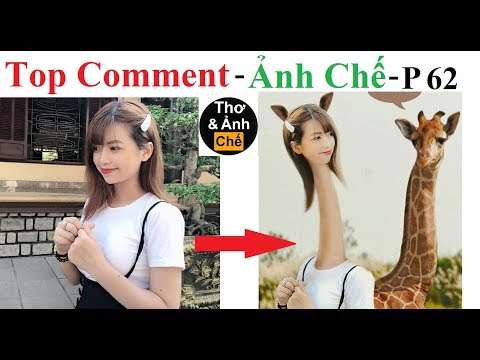 Top Comment - Ảnh Chế (Phần 62) Funny Photos, Photoshop Troll, Funny Pictures