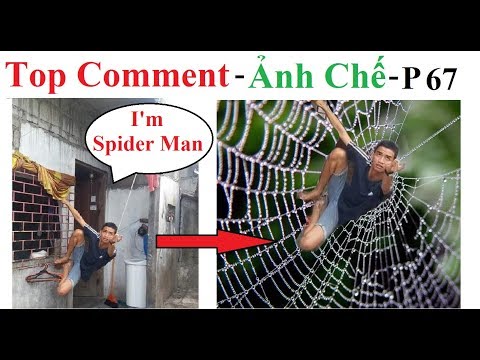 Top Comment 🤣 Ảnh Chế (Phần 67) Funny Photos, Photoshop Troll, Funny Pictures