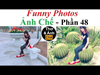 Top Comment - Ảnh Chế (Phần 48) Funny Photos, Photoshop Troll, Funny Pictures