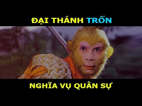 Đại Thánh Tìm Chuối Thần Kỳ - Phim Chế Lồng Tiếng - Việt Cupid