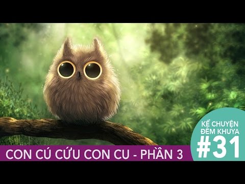 Kể Chuyện Đêm Khuya #31 - Chuyện Con Chim Cú Cứu Con Chim Cu - Phần 3 - Việt Cupid