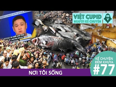 Kể Chuyện Đêm Khuya #77 - Chuyện Nơi Tôi Sống - Việt Cupid