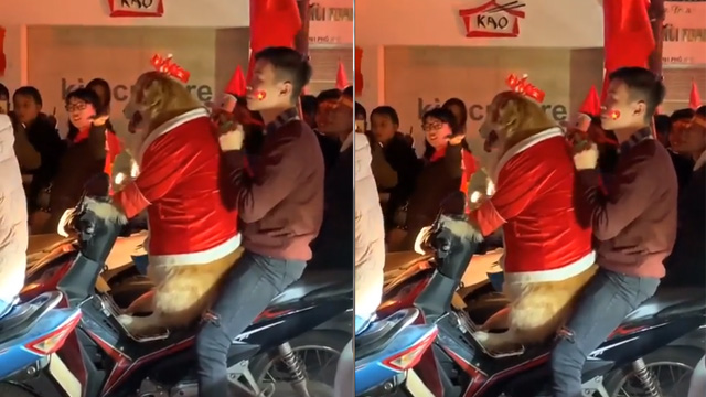 Chó cưỡi xe máy đi bão mừng Việt Nam vô địch