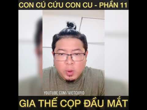 Con Chim Cú Cứu Con Chim Cu - Phần 11 - Chú Việt Cupid