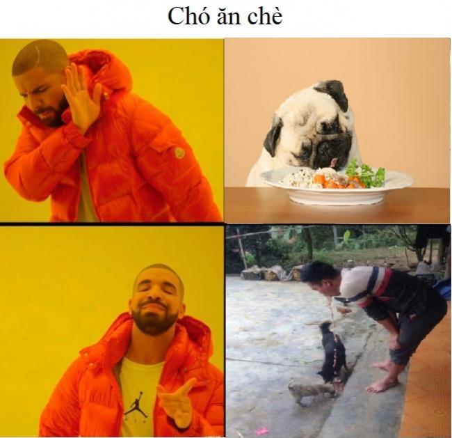 How to " chó ăn chè "