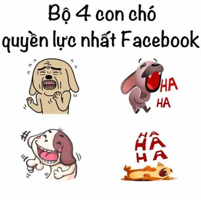 4 con chó 'Quyền Lực nhất' FaceBook 