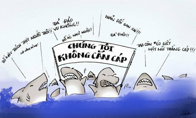 Khi cá mập biểu tình!!