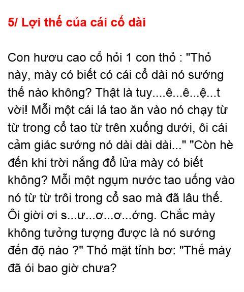 Phản dame level thỏ.