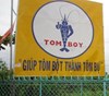 Tom boy 