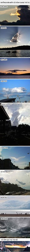 Những đám mây có hình dạng thú vị 