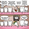 R.I.P răng khôn 