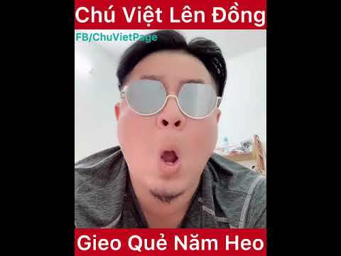Gieo Quẻ Năm Heo - Chú Việt Cupid