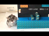 Đây là trò chơi Super mario phiên bản Hamster :P